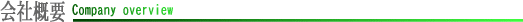 ЊTv